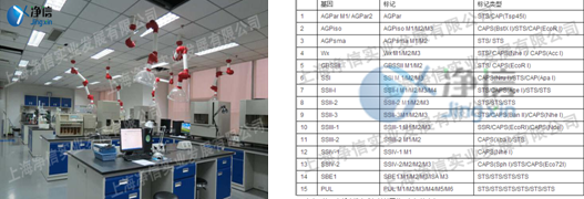 低溫破碎酵母細(xì)胞使用高通量組織研磨儀實驗